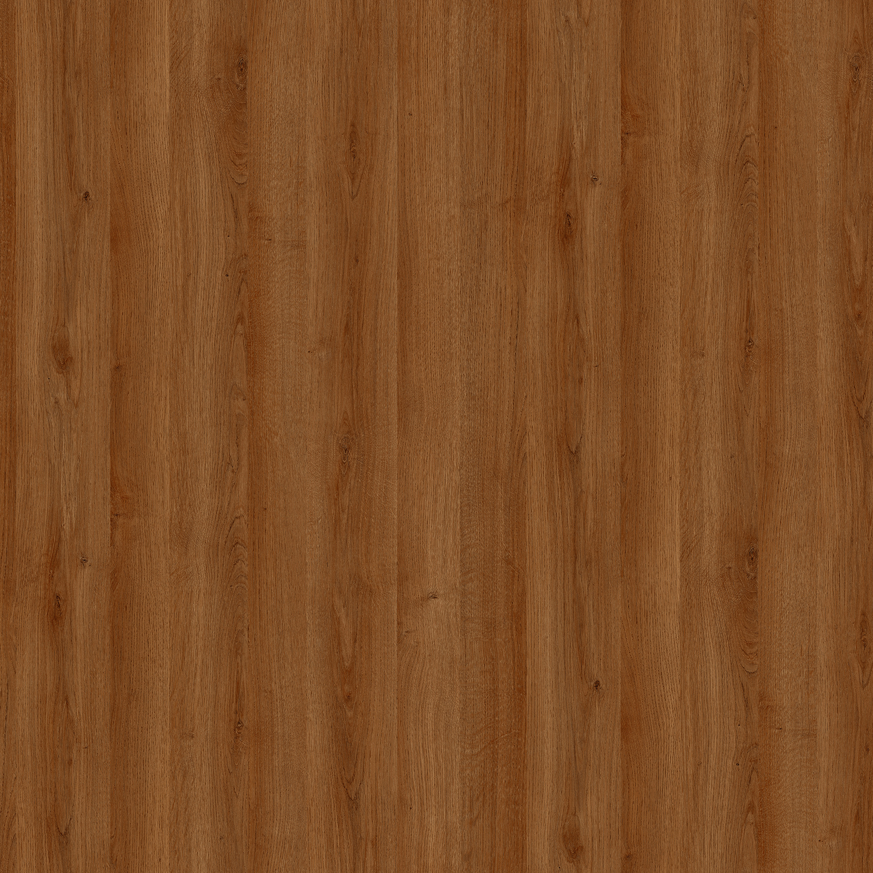 Laurel-Oak-50057-002-300x300.jpg