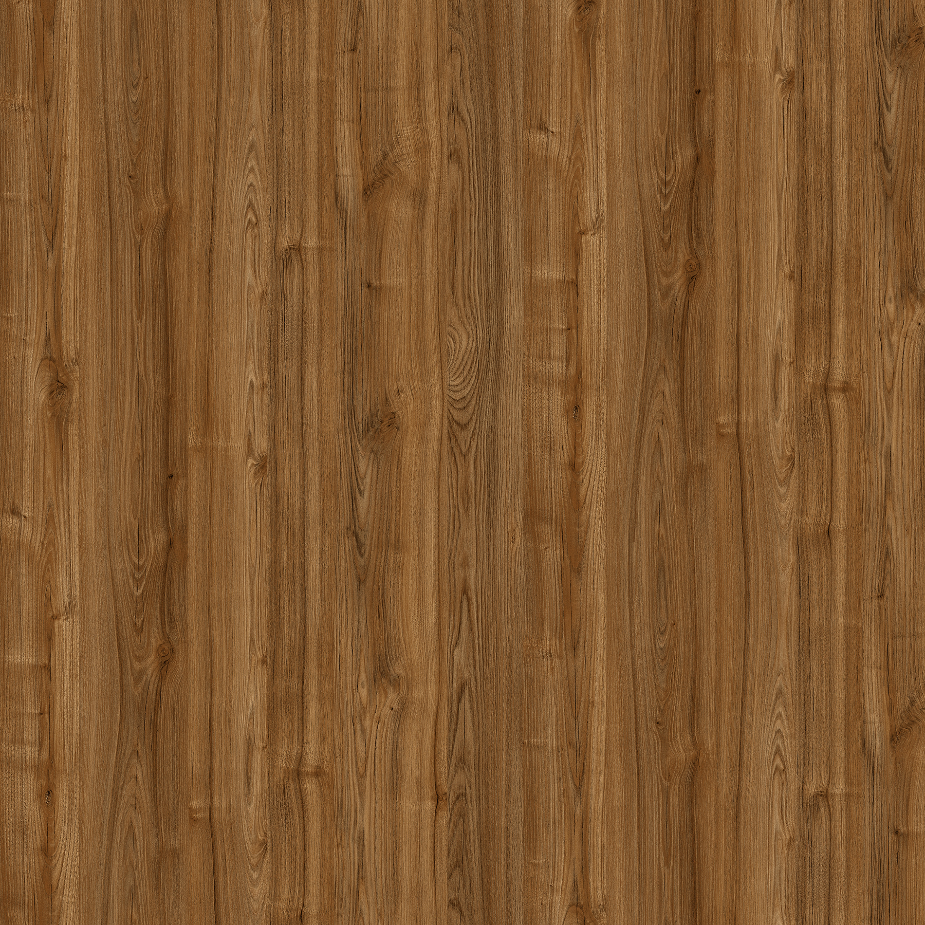 Leaved Elm wood texture Decor paper