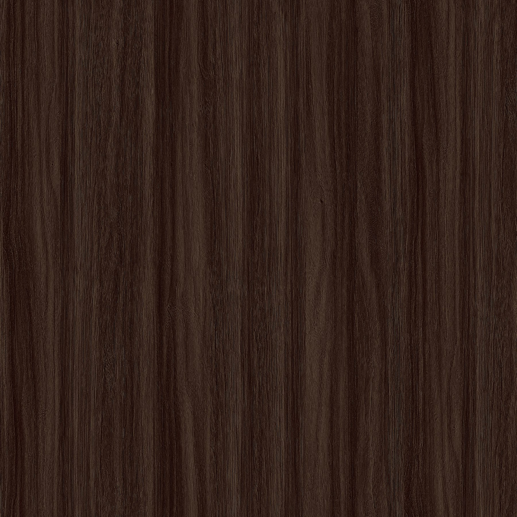 Sparkling Elm wood texture Decor paper
