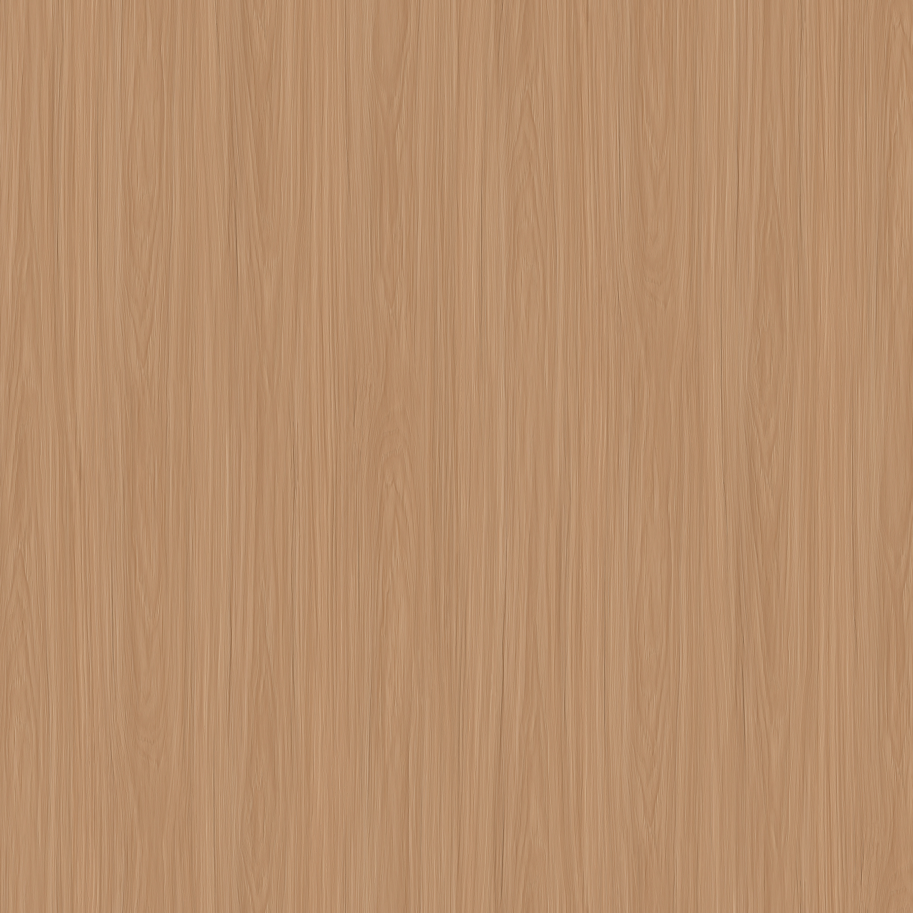Belluno Ash wood finish Decor paper
